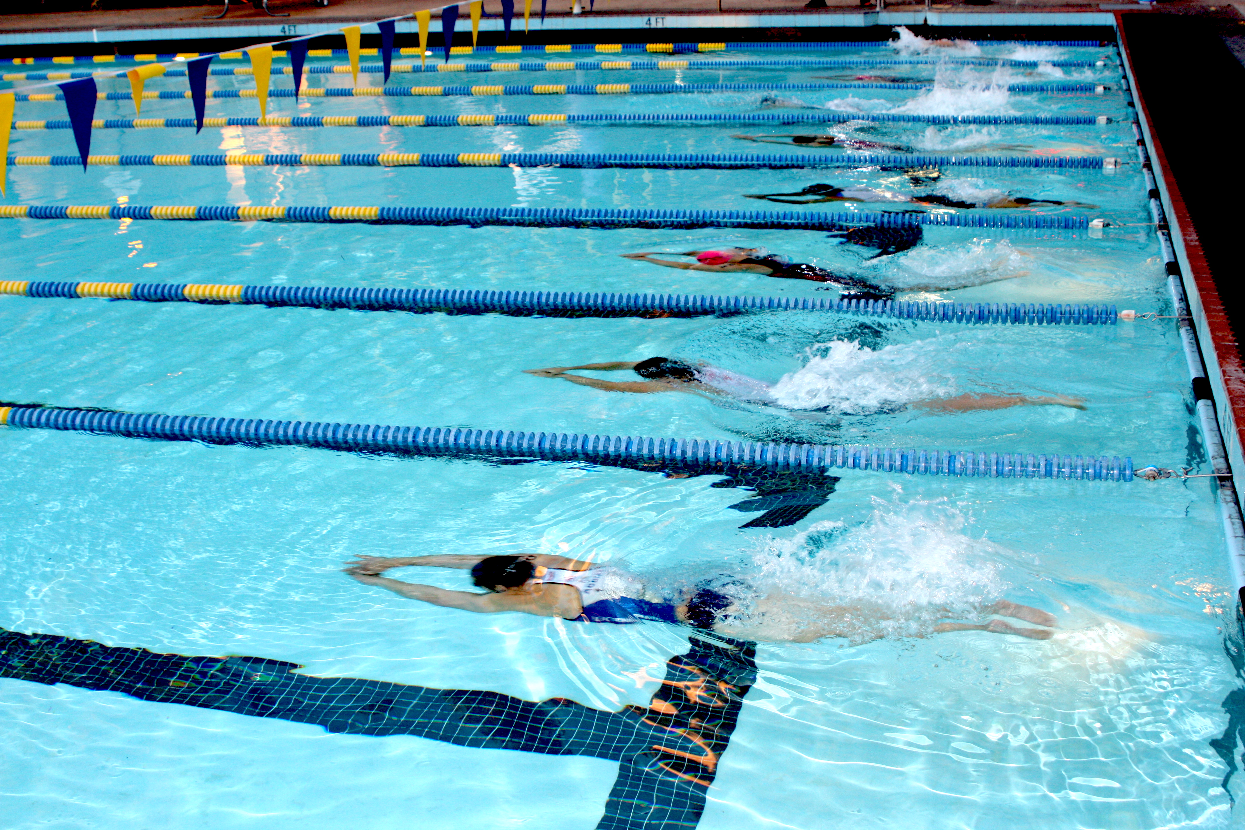 Swim start at UCLA