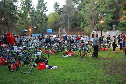 Transition at UCLA